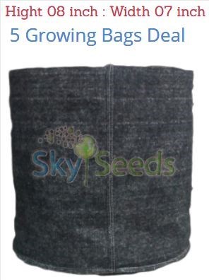 Grow Bags Fabric  5 Bags Deal  height 8 Inch width 7 inch 