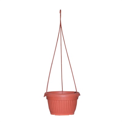 PLASTIC POT 5.0 with Hunger - 10 POT DEAL