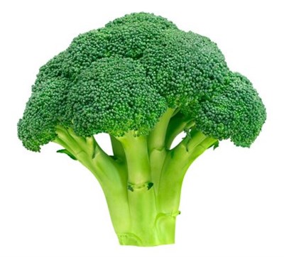 Broccoli HYBRID   F1 20  SEEDS 