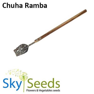 Chuha Ramba