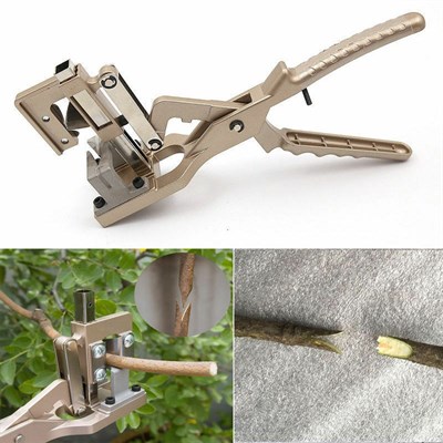 1. Grafting tool executes a deep V cut.