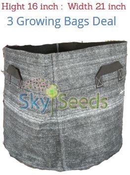 Grow Bags Fabric "16x21"  3 Bags Deal