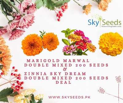 Zinnia & Marigold F1  seeds Deal 200 + 200 Seeds 
