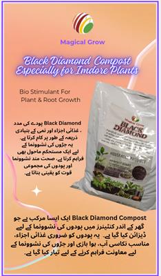 Black Diamond 100 kg Deal 