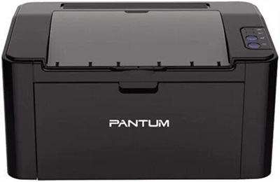 Pantum P2516 Black Laser Printer