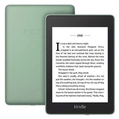 Amazon Kindle Paperwhite 10 generation - 32GB (Sage)