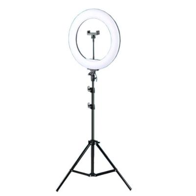 Jmary 12 inch Light + Stand 