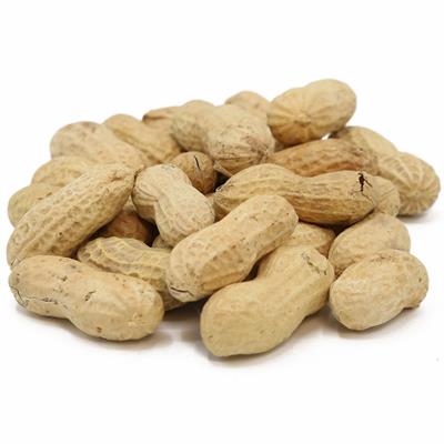 PEANUTS WITH SHELL