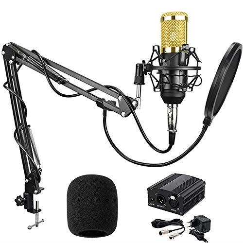 BM800 Condenser Microphone