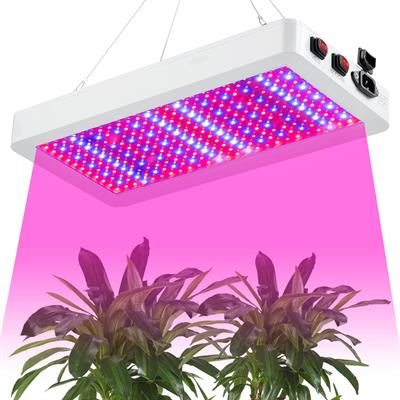 Grow Lights for Indoor Plants 1000W, Full Spectrum, for Seed Starting, Vegetable and Flower