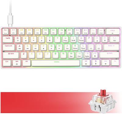 DIERYA DK61SE Wired 60% Mechanical Gaming Keyboard, RGB Backlit, 61 Keys Anti-Ghosting Ultra-Compact USB-C Mini Gaming Keyboard with Red Linear Switch
