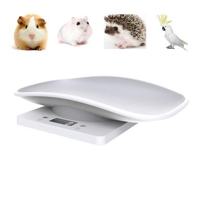Electronic Kitchen Post Scale MAX 10KG ( 22 LB) Hamster Scale Pet Little Bird Newborn pet Scale