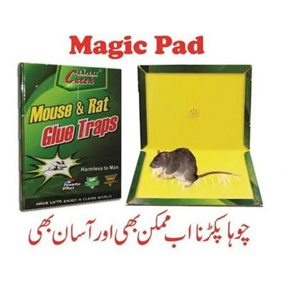 Reusable Expert Mouse Glue Traps - Sticky Boards