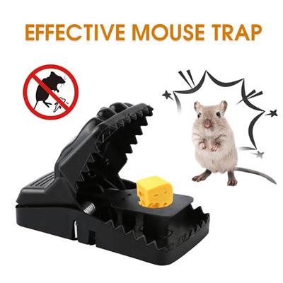 Mouse Clip, Catching Mouse Trap