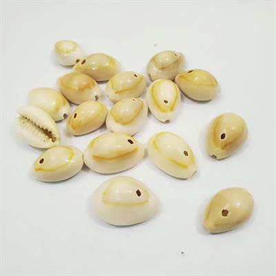 10 gm White oval Sea Shells with holes Craft Sets sizes between 