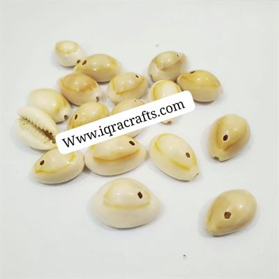 15 Pcs   White oval Sea Shells with holes Craft Sets sizes between (1cm-2cm)
