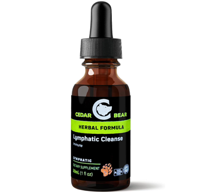 Cedar Bear - Lymphatic Cleanse Immune Support Supplement Liquid Herbal Supplements, 1 fl oz
