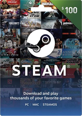 100$ USA Steam