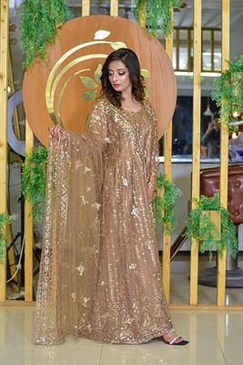 Brown Wedding Wear Dress with Silk and Net Work