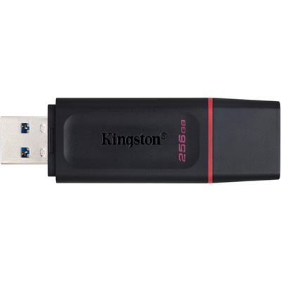 Kingston 256GB DataTraveler Exodia Flash Drive