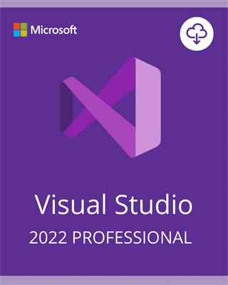 Visual Studio Professional 2022 1PC