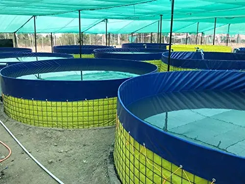 550 GSM PVC Biofloc Fish Tank 5m, 20000ltr - Round Tarpaulin Sheet Aquaculture Farming, with Protection Cover (Blue)