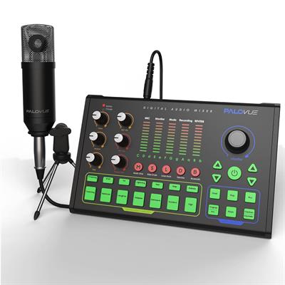 PALOVUE Audio Interface Mixer with Microphone 3.5mm, DSP Chips Digital Mixer with Sound Effects Podcast Equipment for Phone PC Music Recording Live Streaming, iLiving