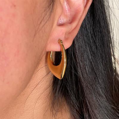 Golden Solids Earrings (ME004)