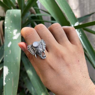 Elephant ring2 (ER011)