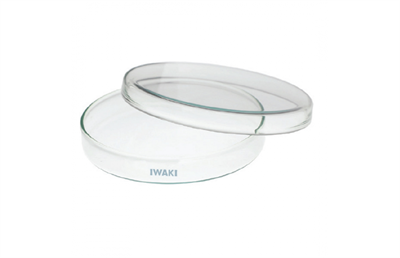 IWAKI Glass petri dishes