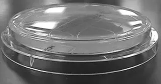 Trypticasein Soy Agar (TSA) EP/USP/ISO Rodac Plates (RS 600/ Pack of 30 Plates)