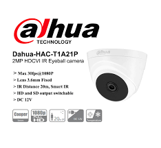 2MP HDCVI Fixed-focal Eyeball Camera