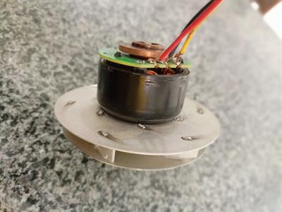 BLDC Motor 