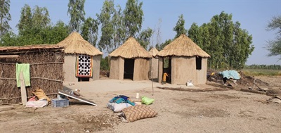 Three Houses and One Bathroom for Three Families
