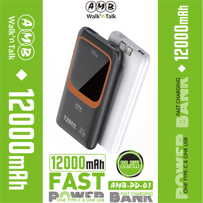 AMB Power Bank 12000mAh