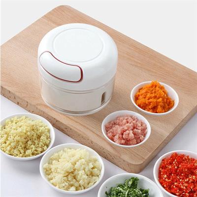 Multifunctional Mini Food Chopper 