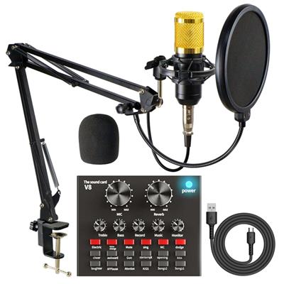 BM800 USB Condenser Mic With V8 Mixer Sound Card Kit