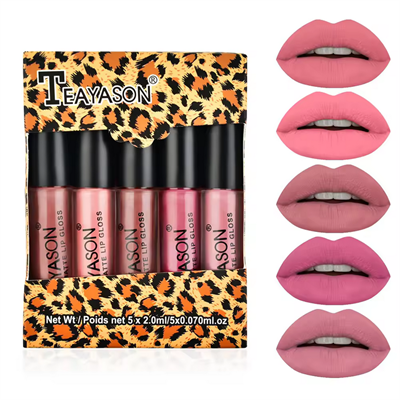 TEAYASON Matte Lip Gloss 5 Pc set