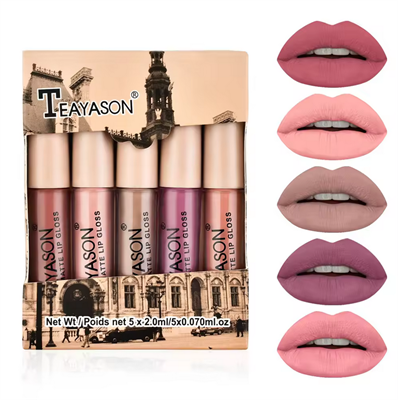 TEAYASON Matte Lip Gloss 5 Pc set