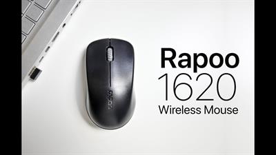 Rapoo 1620 Wireless Optical Mouse