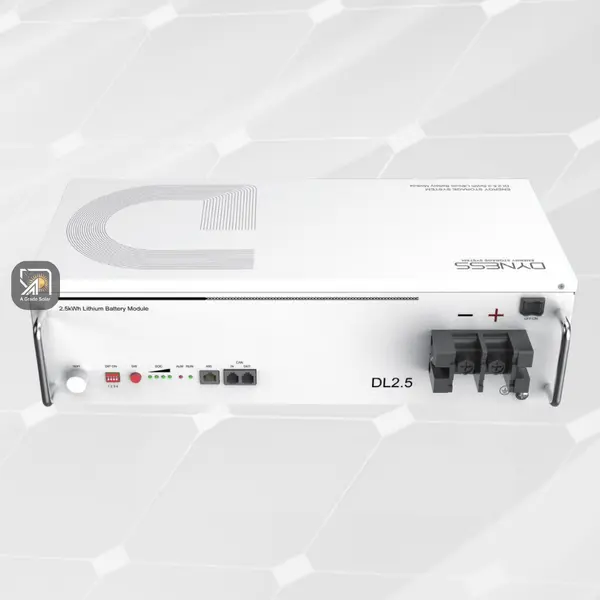 Dyness 2.56kWh Lithium Battery | DL2.5 -25.6V 100Ah | Up to 16 units in parallel