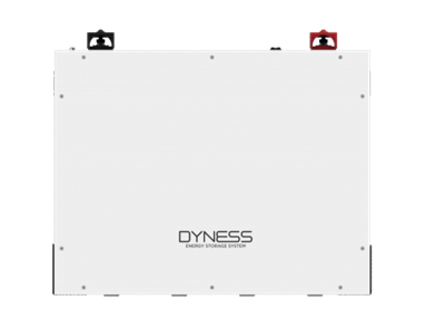 Dyness BX51100 Lithium-ion Battery 