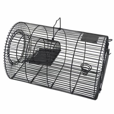 Rat Trap Cage