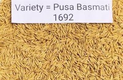 1692 Rice