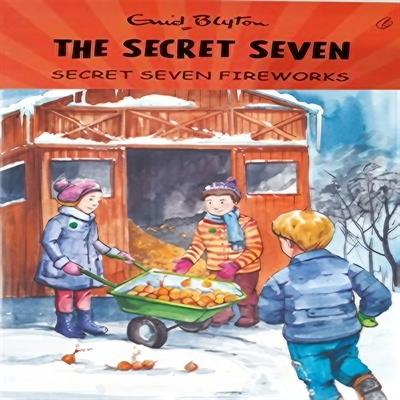 Secret Seven Fireworks : The Secret Seven Series (book 11)