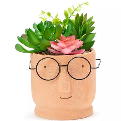 Modern Ceramic Plant Pot