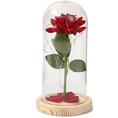 Flower Glass Dome with LED Lights