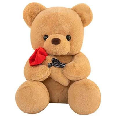 Romantic 40cm Teddy Bear with Rose