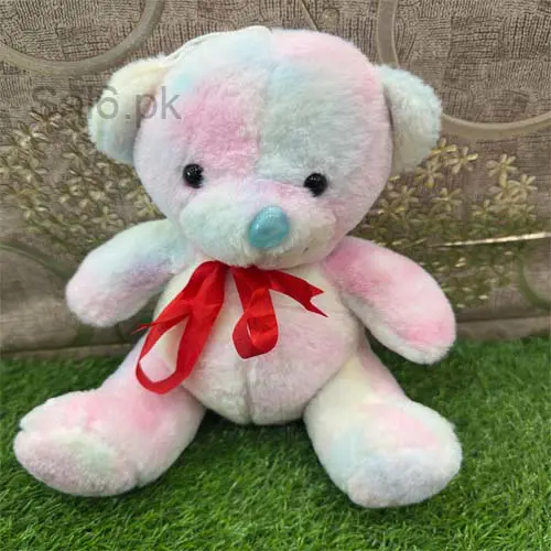 Rainbow Teddy Bear 
