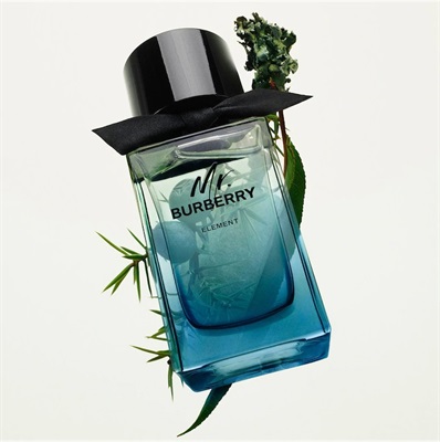 Mr.Burberry Element EDT 100ML